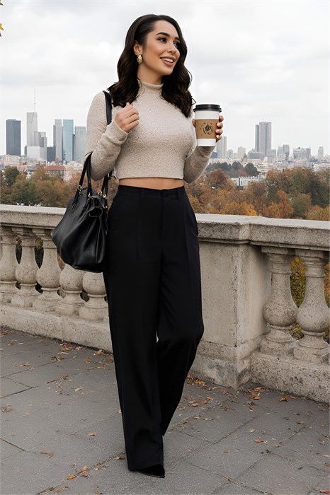 Брюки Брайн (черные) Б13889-33М Б13889-33М