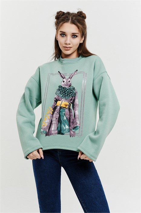 Толстовка 67028 33064