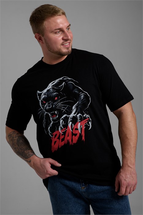 8545 Футболка мужская 53554