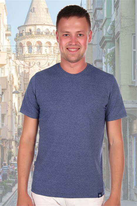 Футболка 1650 4643