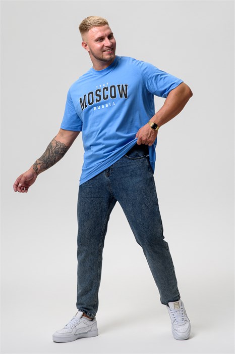 Футболка мужская 8503/1 53739