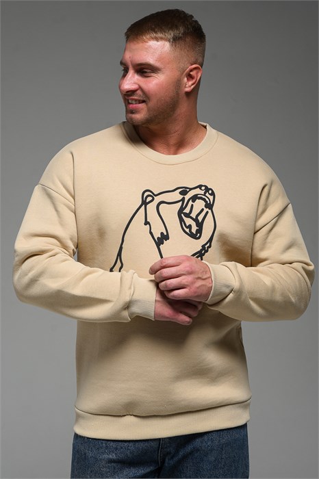 8535 Мужской свитшот оверсайз 52931