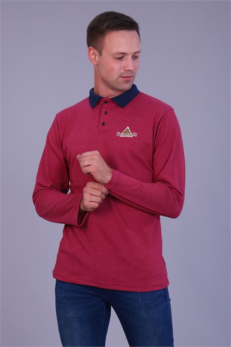 Футболка поло 6796 31711