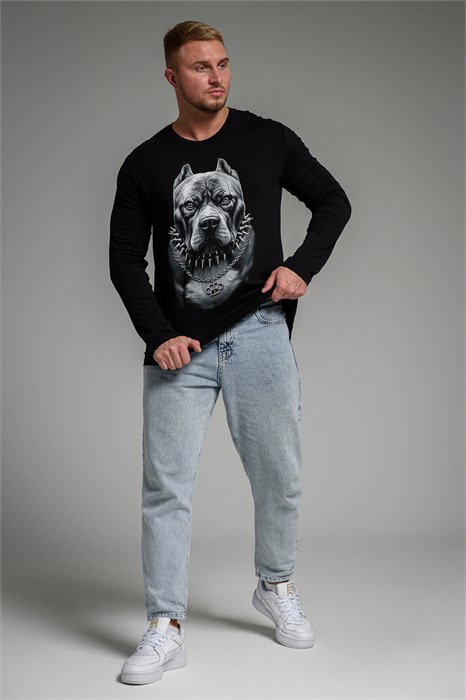 8514/1 Футболка с длинным рукавом мужская 53993