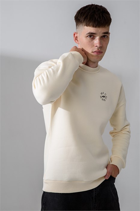 8559 свитшот мужской 56048