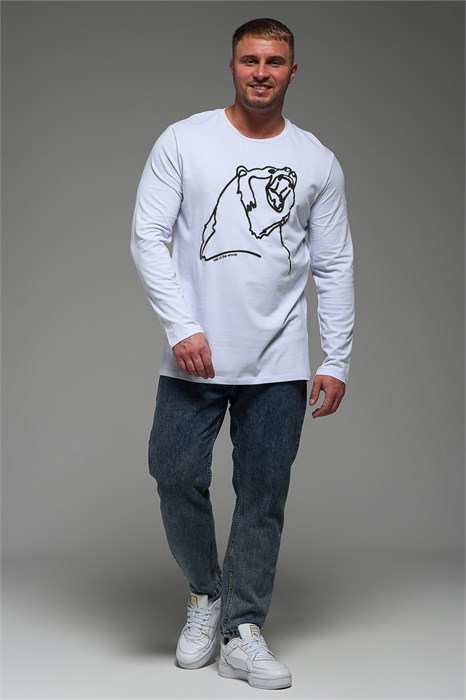 8534 Футболка с длинным рукавом мужская 52978