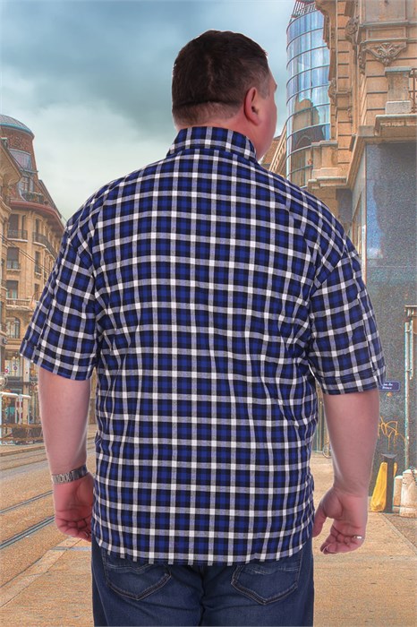 Рубашка 46002 20231