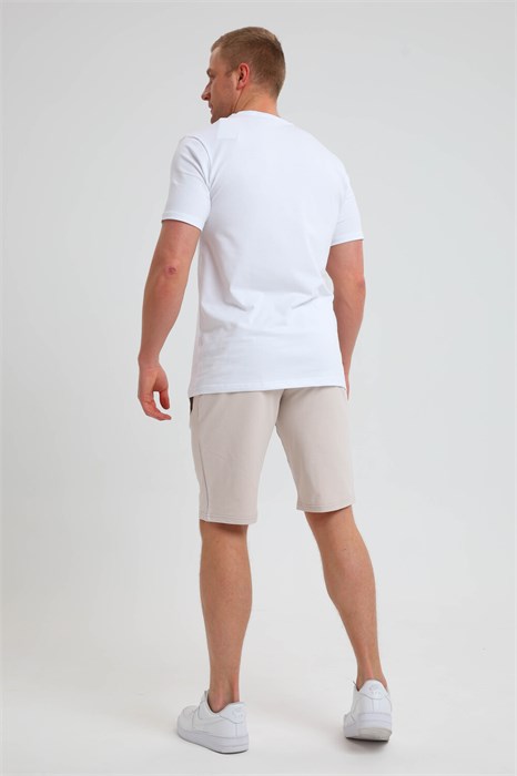 22280 Шорты мужские 47609