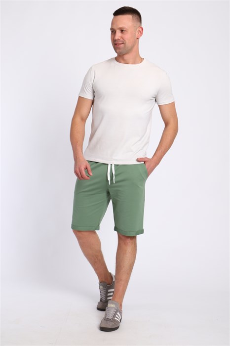 шорты мужские 83903 54861