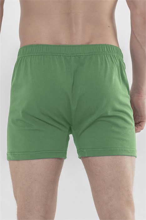 Трусы мужские классические Cavalo Marinho СТЭ 44055