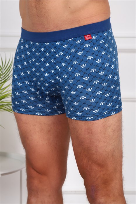 Трусы 64875 56672