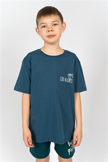 Футболка для мальчика 52288 детская 39450