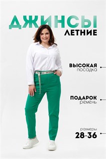 С27038 брюки женские 47734