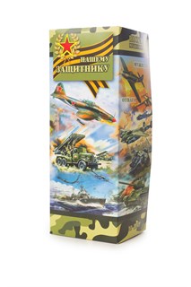 Носки мужские Армейские (набор 10 пар) 55641