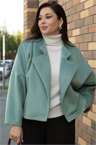 {{photo.Alt || photo.Description || 'Пальто укороченное Хайт (фисташка) Б14339-7М'}}