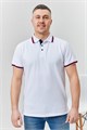 Футболка поло 6780 39895