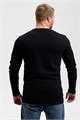 8514/1 Футболка с длинным рукавом мужская 53993