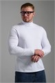 14439/3 Водолазка мужская 52644