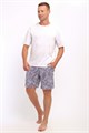 Шорты мужские 36966 56265