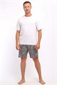 Шорты мужские 36966 56265