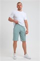 22280 Шорты мужские 47609