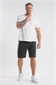 08 Шорты мужские 53923