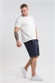 08 Шорты мужские 53923