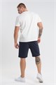 08 Шорты мужские 53923