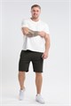 08 Шорты мужские 53923