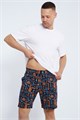 Шорты мужские 36951 55276