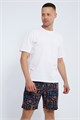 Шорты мужские 36951 55276