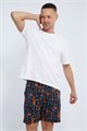 Шорты мужские 36951 55276